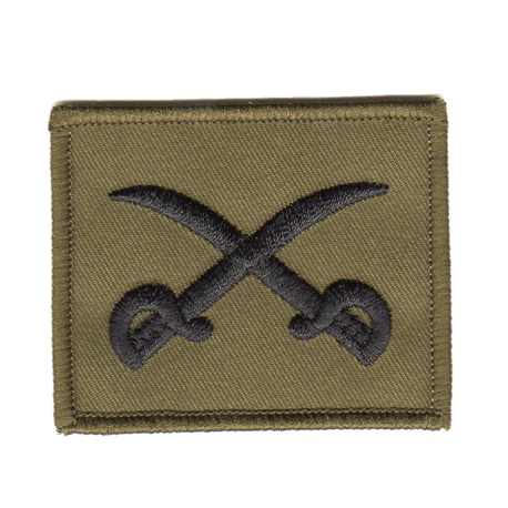 PTI Instructor Patch Olive