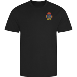 18 (Quebec 1759) Battery Performance PT Top