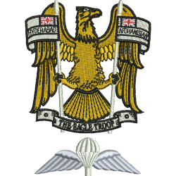 Polo Shirt N Battery (The Eagle Troop) Wings