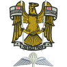 Polo Shirt N Battery (The Eagle Troop) Wings