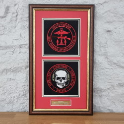 Framed Badge 255 (Somerset Yeomanry) Battery 255 Bty