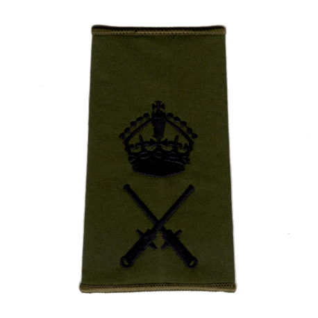 WO2 QGI Rank Slide