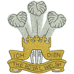 Royal Welsh Just Cool T-Shirt