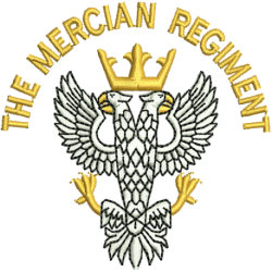 Mercian Just Cool T-Shirt