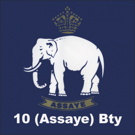 10 (Assaye) Battery Sticker