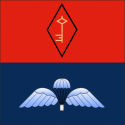 21 Air Assault Battery Sticker