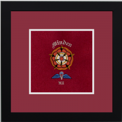 12 Air Assault Battery Framed Badge