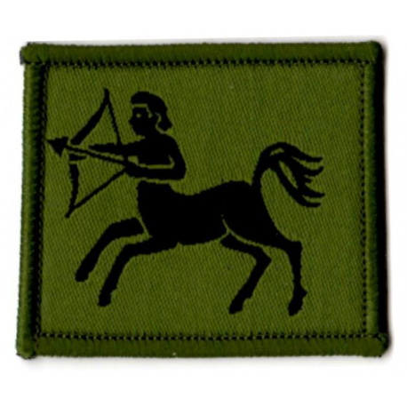 7th Air Defence Group Patch