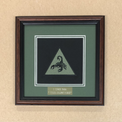 Framed 1 DRS Badge