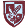 16 Air Assault Brigade Flash Coloured