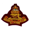 Royal Artillery Para Cloth Cap Badge