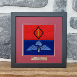 21 Air Assault Battery Framed Badge