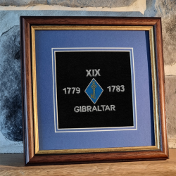 19 Battery Framed Badge