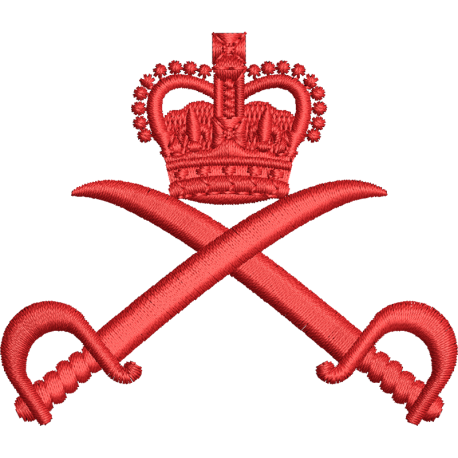 Premium Cotton T Shirt Royal Army Physical Training Corps RAPTC