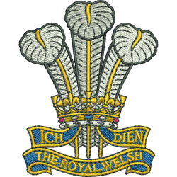 Dry Robe Royal Welsh