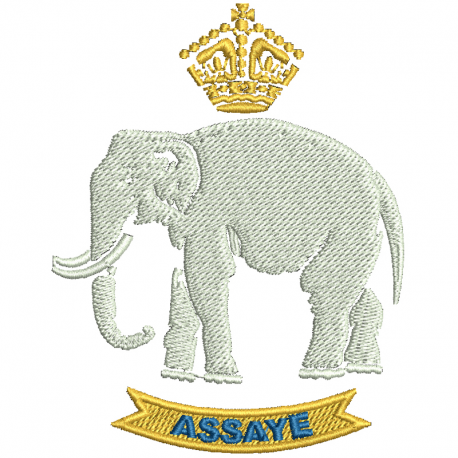 Dry Robe 10 (Assaye) Battery