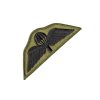 Para Wings Patch Olive