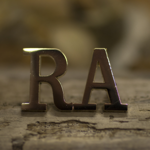 RA Shoulder Titles WOs