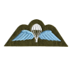 Para Wings Patch Olive