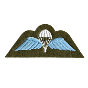 Para Wings Patch Olive