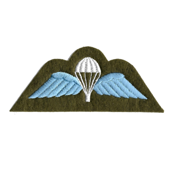 Para Wings Patch Olive