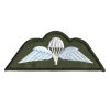Para Wings Patch Olive