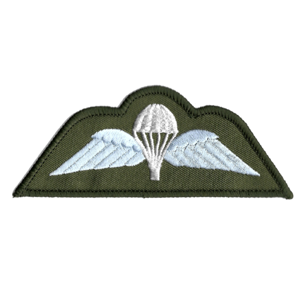 Para Wings Patch Olive