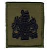 Smock Rank Patch Olive