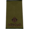 Officer Mercian Rank Slide