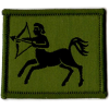 7 Air Defence Group Patch Olive