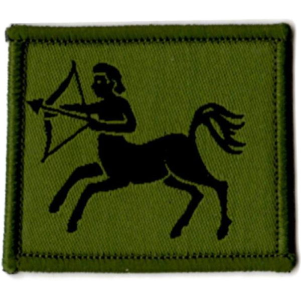 7 Air Defence Group Patch Olive