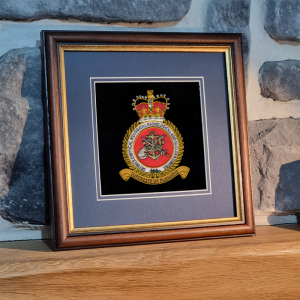 DCBRNC Framed Badge