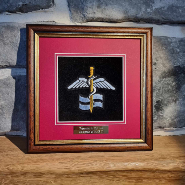 127 Medical Squadron Framed Badge