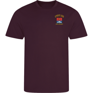 21 Battery Wings Pt Top