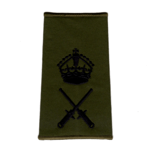 WO2 QGI Rank Slide