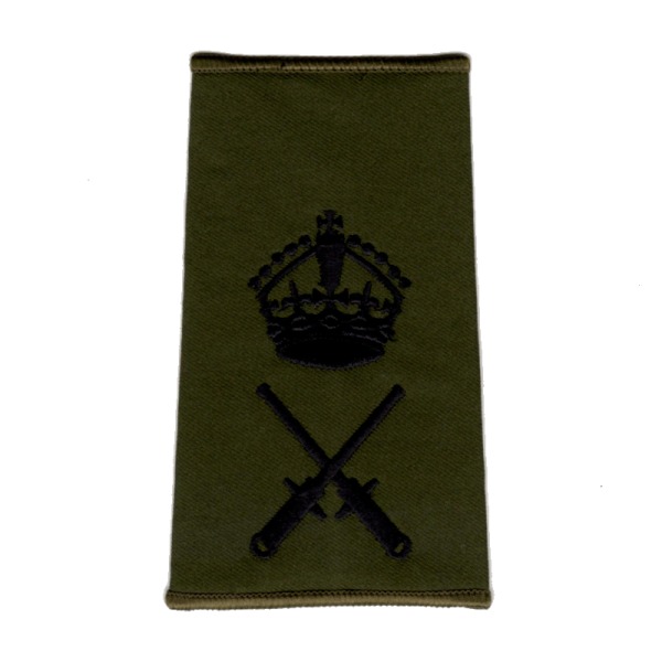 WO2 QGI Rank Slide