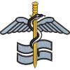 127 Sqn Embroidered Badge For Clothing