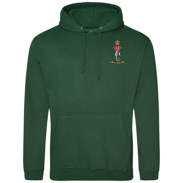 137 Battery Bottle Green Hoodie