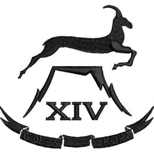 14 Battery Black Embroidered Badge For Clothing