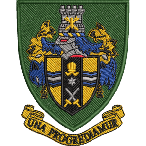 159 Battery Embroidered Badge For Clothing