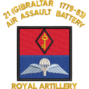21 Battery Wings Embroidered Badge For Clothing