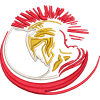 29 Rlc Spartan Embroidered Badge For Clothing