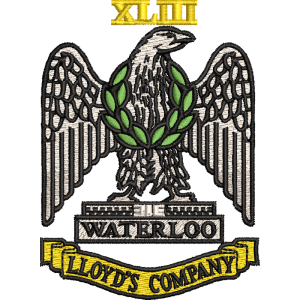 43 Battery Embroidered Badge For Clothing