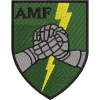 Ace Afc Embroidered Badge For Clothing