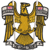 N Battery Embroidered Badge For Clothing