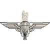 Para Regt Cr Embroidered Badge For Clothing