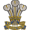 R Welsh Embroidered Badge For Clothing