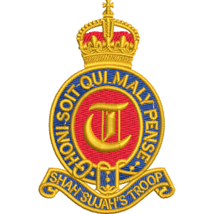 T Battery Cr Embroidered Badge For Clothing
