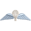 Wings Embroidered Badge For Clothing