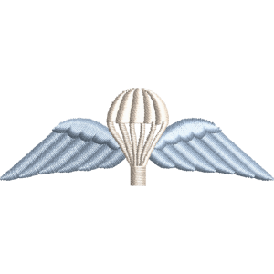 Wings Embroidered Badge For Clothing